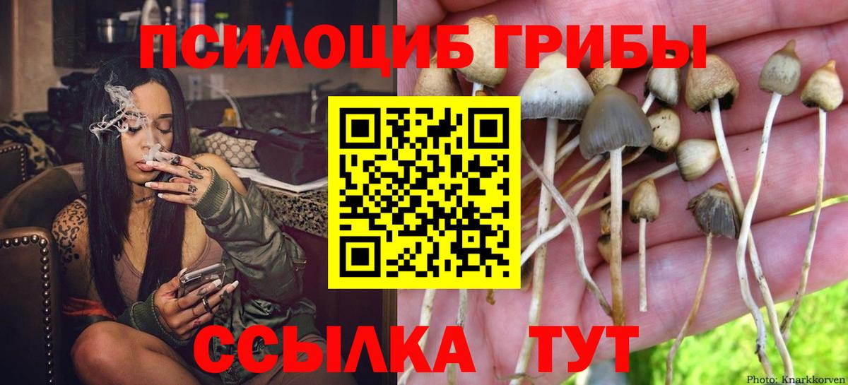 Пугачёв  Псилоцибиновые грибы мухоморы  Вход с VPN  Псилоцибиновые грибы Magic Shrooms 