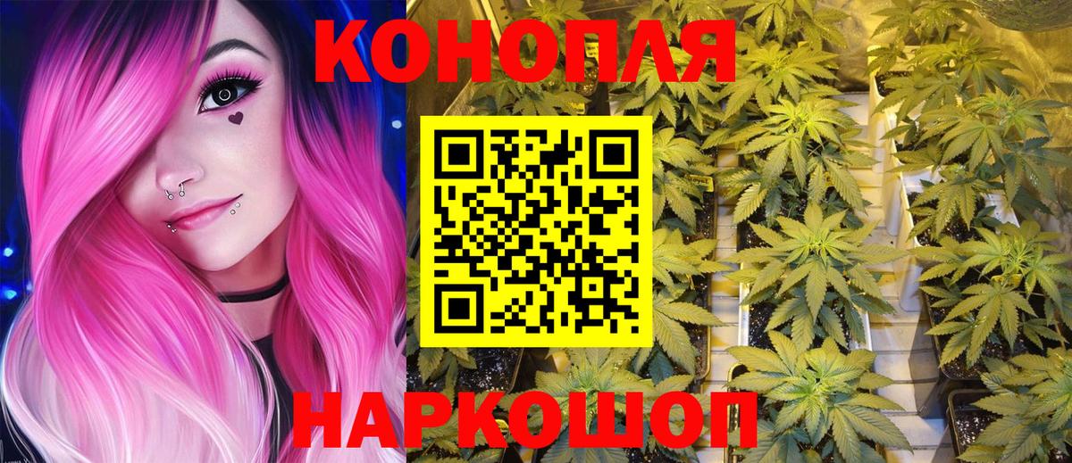 Бошки Шишки Bruce Banner Пугачёв